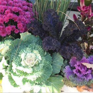 Meet your Posher, Steph